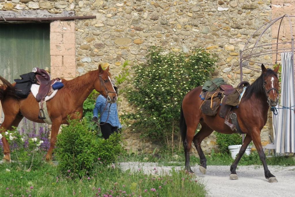 Les Gites D'Eliane Laragne Εξωτερικό φωτογραφία